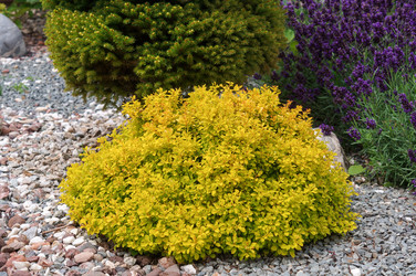 Similar image 22497547