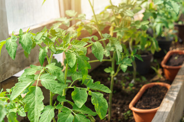 Similar image 22577537