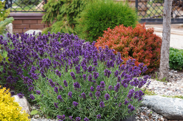 Similar image 22497549