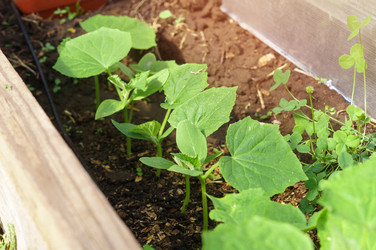 Similar image 22577516