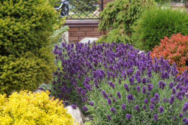 Similar image 22497550