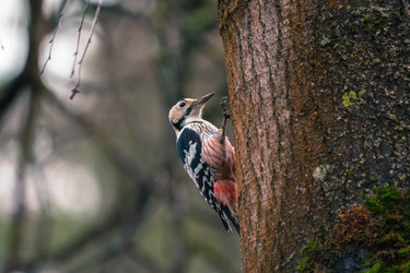 Similar image 22527555