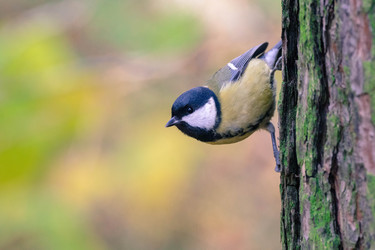 Similar image 22527556