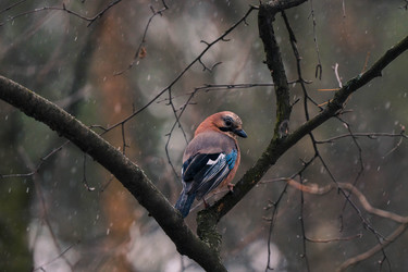 Similar image 22527557