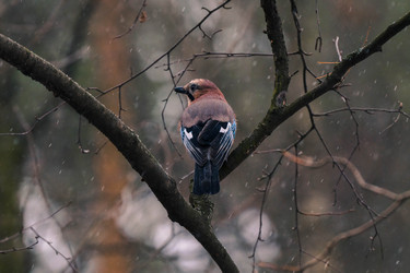 Similar image 22527558