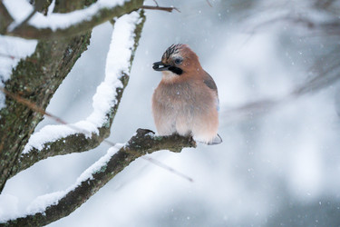 Similar image 22527569