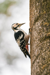 Similar image 22527571