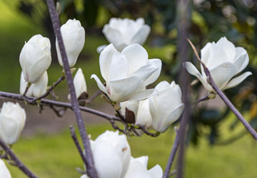 Similar image 22577189