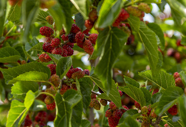 Similar image 22581026