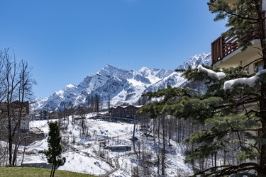 Similar image 22586623