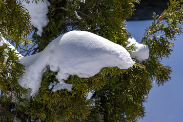 Similar image 22577310