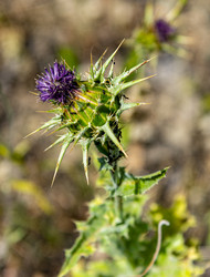 Similar image 22586640