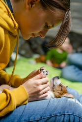 Similar image 22490107