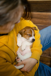 Similar image 22490110