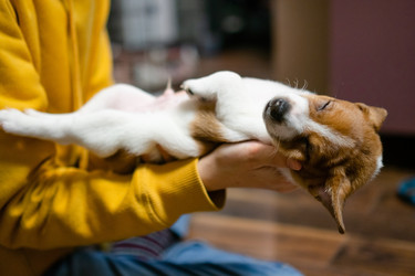 Similar image 22490122