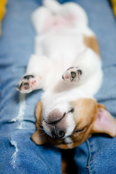 Similar image 22490123