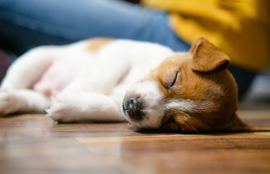 Similar image 22490129