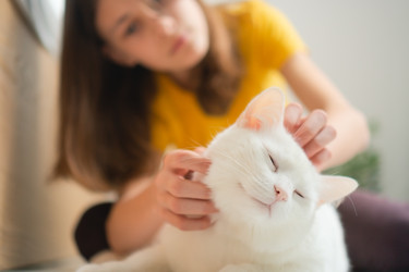 Similar image 22490131