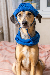 Similar image 22593306