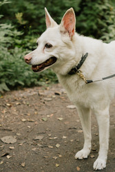 Similar image 22593315