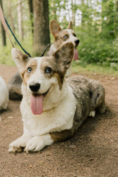 Similar image 22593316