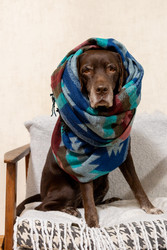 Similar image 22593318