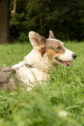 Similar image 22593320