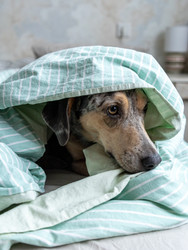 Similar image 22593322