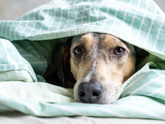 Similar image 22593325