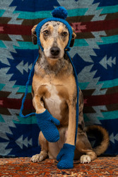 Similar image 22593326