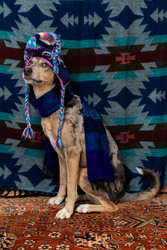 Similar image 22593327