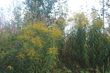 Similar image 22501448