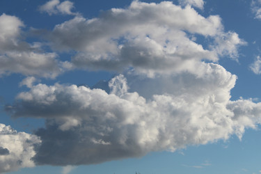 Similar image 22501450