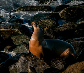 Similar image 22586713