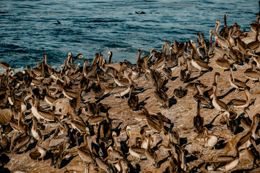 Similar image 22586744