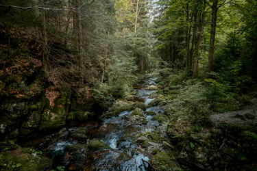 Similar image 22586759