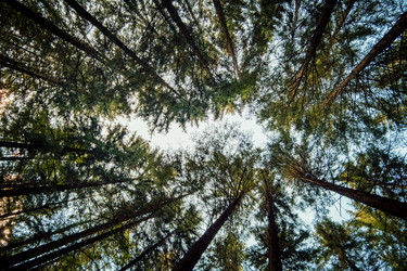 Similar image 22586790