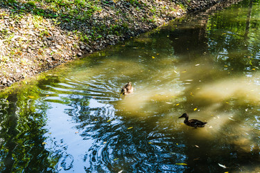 Similar image 22489305