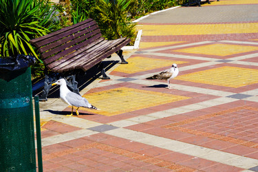 Similar image 22489310