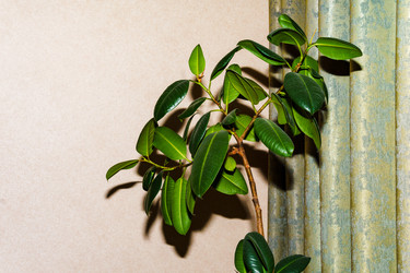 Similar image 22489313