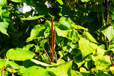 Similar image 22489328