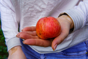 Similar image 22494118