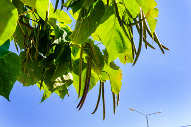 Similar image 22497577