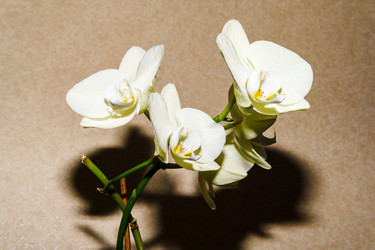 Similar image 22497594