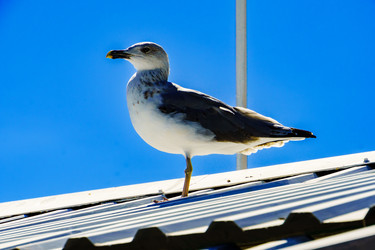 Similar image 22497595