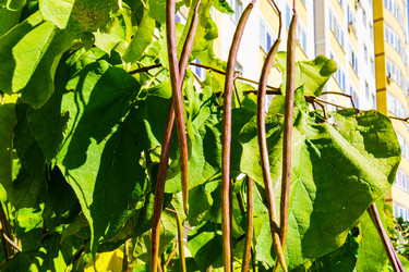 Similar image 22518935