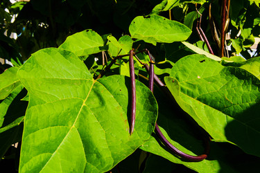 Similar image 22518941