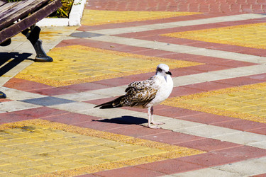 Similar image 22518942