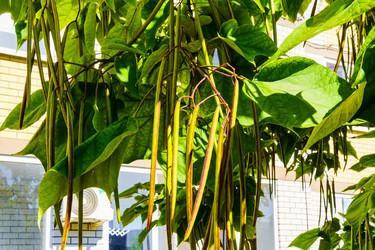 Similar image 22518943