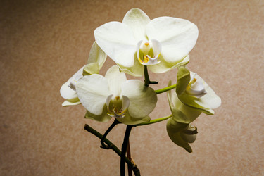 Similar image 22518944